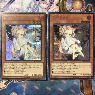 灰流うらら シークレットレア