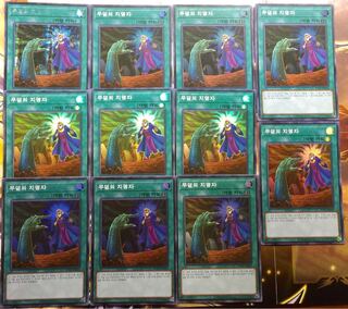 墓穴の指名者 韓国 スーパーレア  シークレットレア 11枚セット