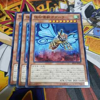 専用 怪粉壊獣ガダーラ セット ノーマル 遊戯王 虎ふぐ