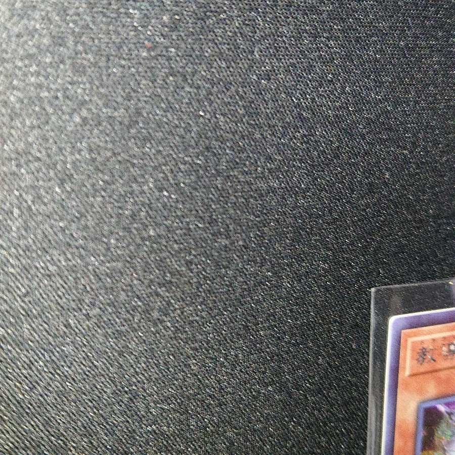 教導の聖女エクレシア シークレットレア