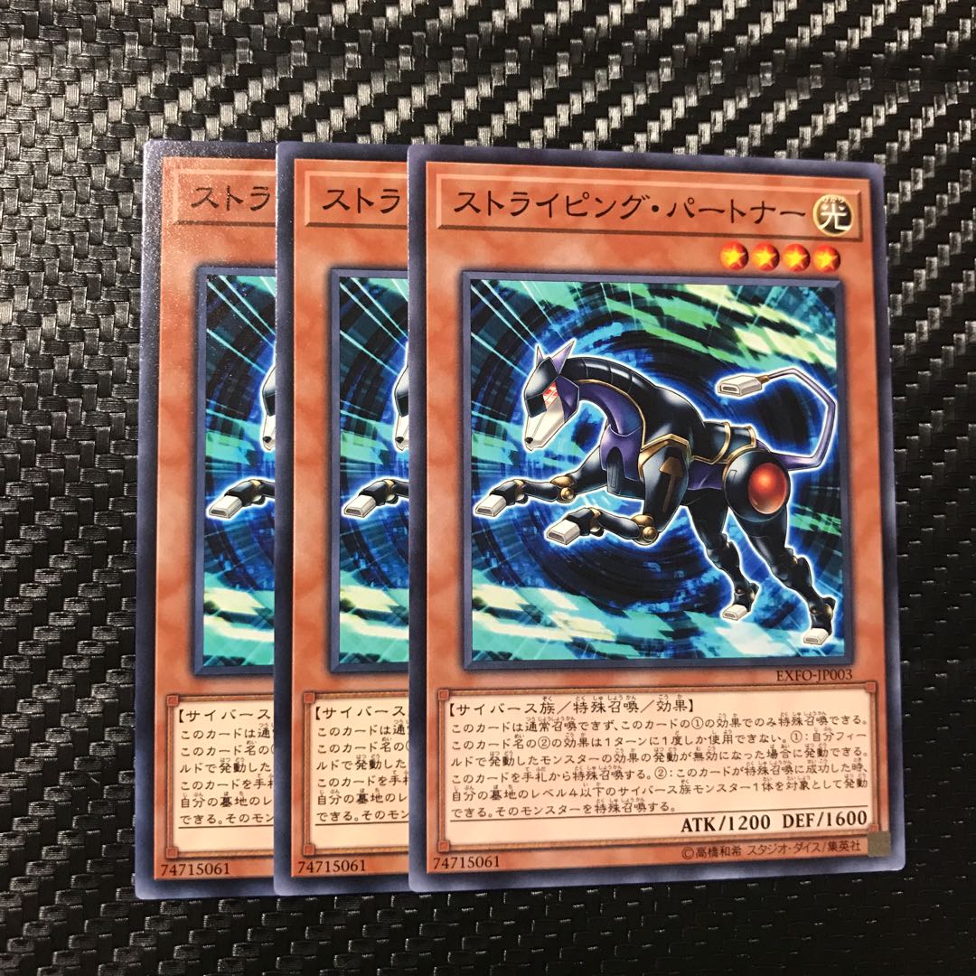 ストライピング・パートナー ノーマル