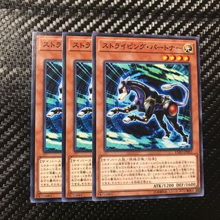 ストライピング・パートナー ノーマル