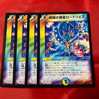 知識の精霊ロードリエス