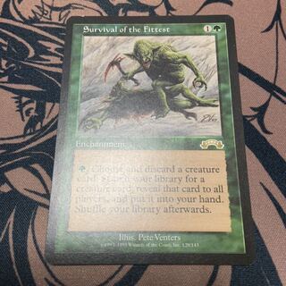 NM 適者生存/Survival of the Fittest EXO 英語版