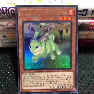 未界域のジャッカロープ ウルトラレア　マホ子