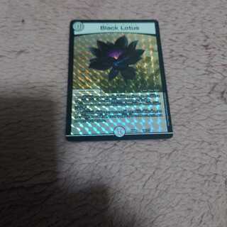 Black Lotus　ブラックロータス