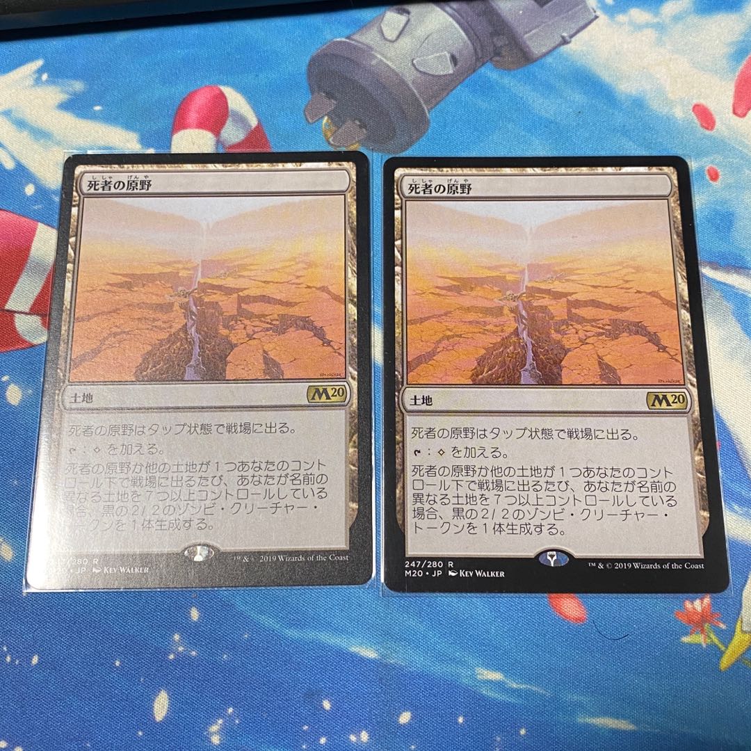 死者の原野　日本語　2枚セット