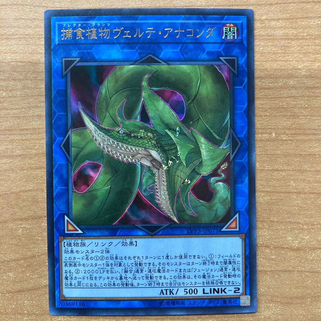 捕食植物ヴェルテ・アナコンダ ウルトラレア