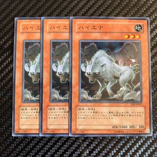 ハイエナ ノーマル