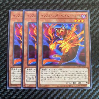 インフェルニティ・ワイルドキャット ノーマル