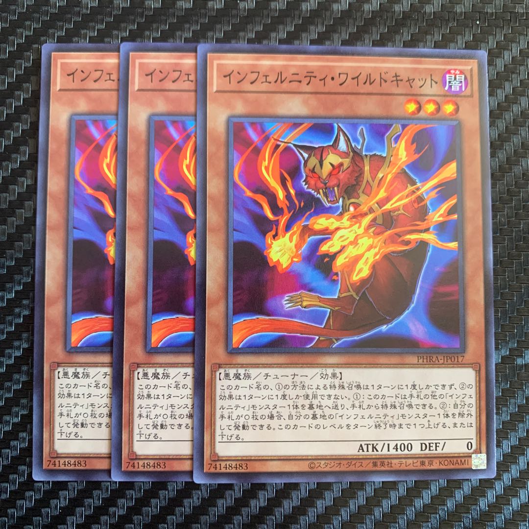 インフェルニティ・ワイルドキャット ノーマル