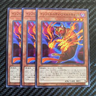 インフェルニティ・ワイルドキャット ノーマル