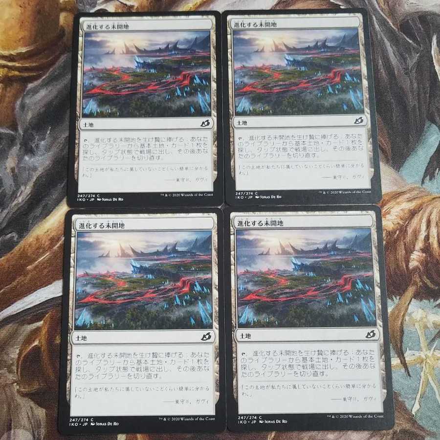 【毎日発送】日本語　進化する未開地　4枚セット　MTG