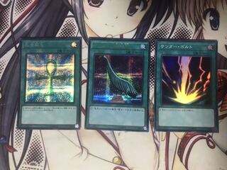 ハーピィの羽根帚　サンダーボルト　死者蘇生