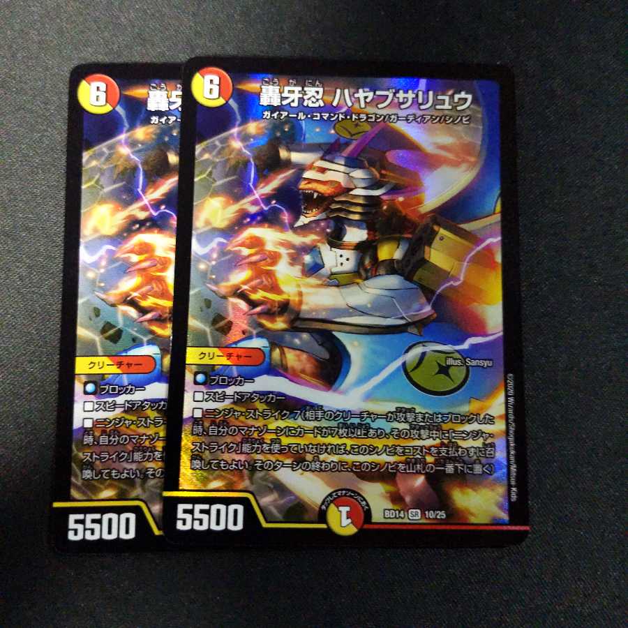 轟牙忍 ハヤブサリュウ