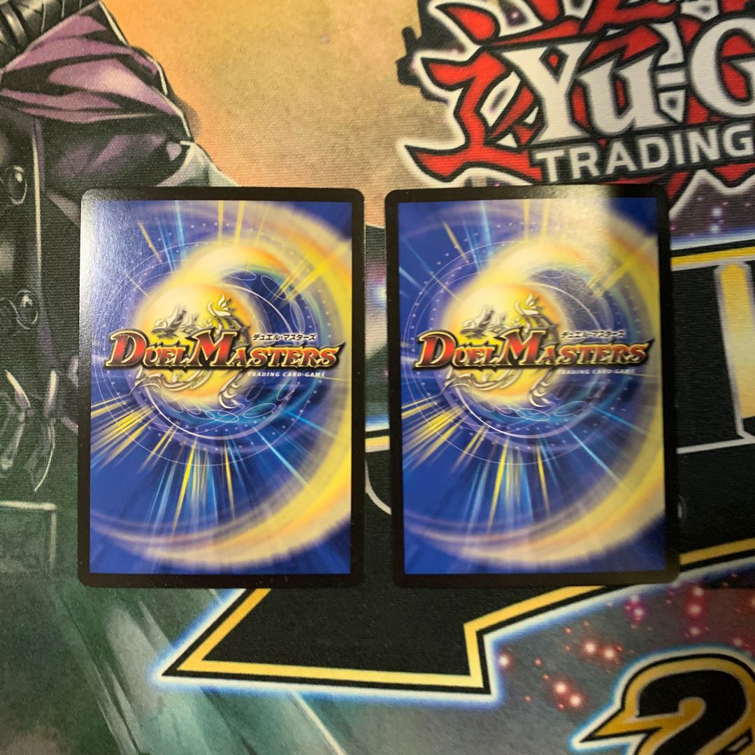 龍世界 龍の降臨する地 2枚