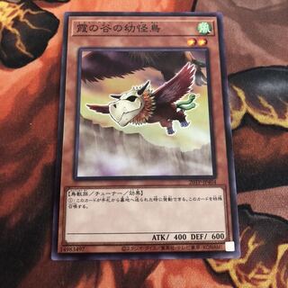 霞の谷の幼怪鳥