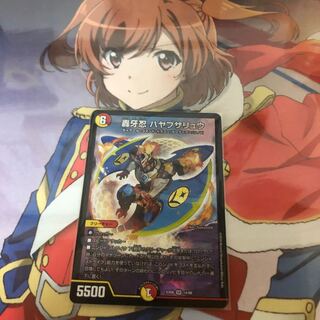 ハヤブサリュウ 説明必見