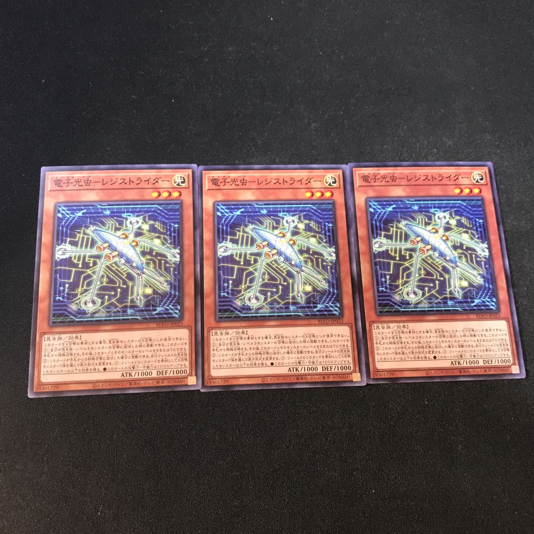 電子光虫-レジストライダー