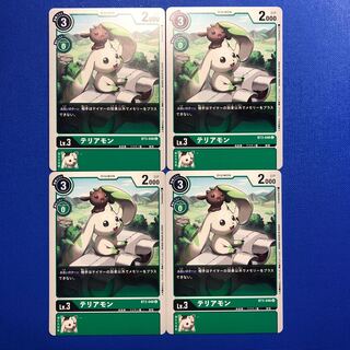 テリアモン4枚