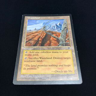 不毛の大地 英語