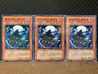 【ぽぽたん】遊戯王 10237 精気を吸う骨の塔 3枚 ノーマル 3枚