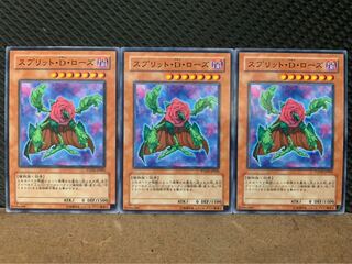 【ぽぽたん】遊戯王 9808 スプリット・D・ローズ 3枚 ノーマル