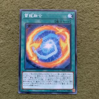 雷龍融合 ノーマル