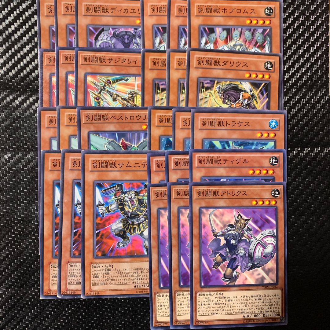 Sword Fighting Beast Set