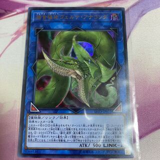 捕食植物ヴェルテ・アナコンダ ウルトラレア