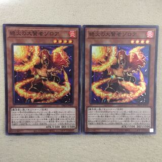 専用 絶火の大賢者ゾロア