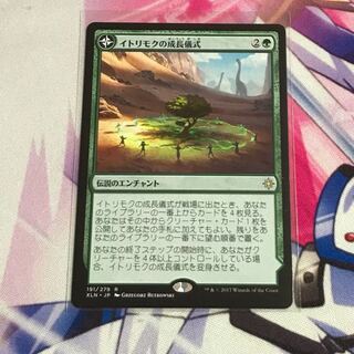 イトリモクの成長儀式