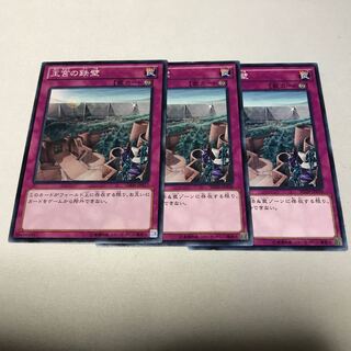 王宮の鉄壁　3枚