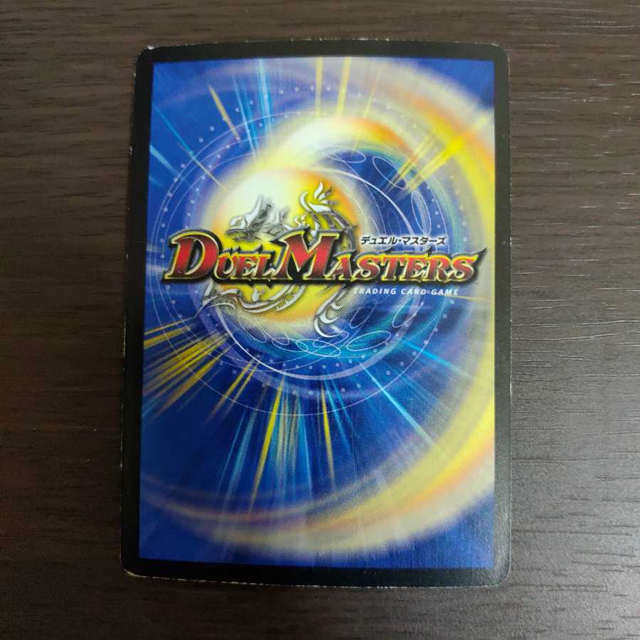 みっさん専用　龍炎鳳エターナル・フェニックス　ドラグハリケーン・エナジー