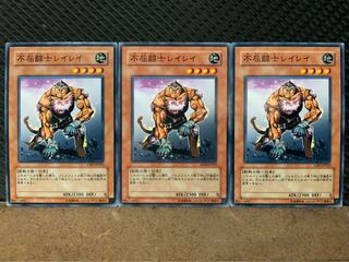 【ぽぽたん】遊戯王 10242 不屈闘士レイレイ 3枚 ノーマル