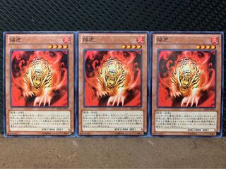 【ぽぽたん】遊戯王 10212 焔虎 3枚 ノーマル