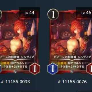 ピアーレの料理番シルヴィア　シルバー2枚