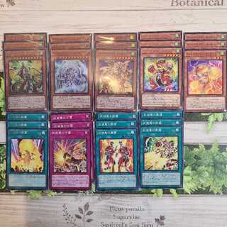 Armed Dragon Zapdos Set