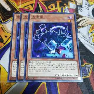 金華猫 ノーマル 遊戯王 虎ふぐ