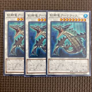 飢鰐竜アーケティス ノーマル