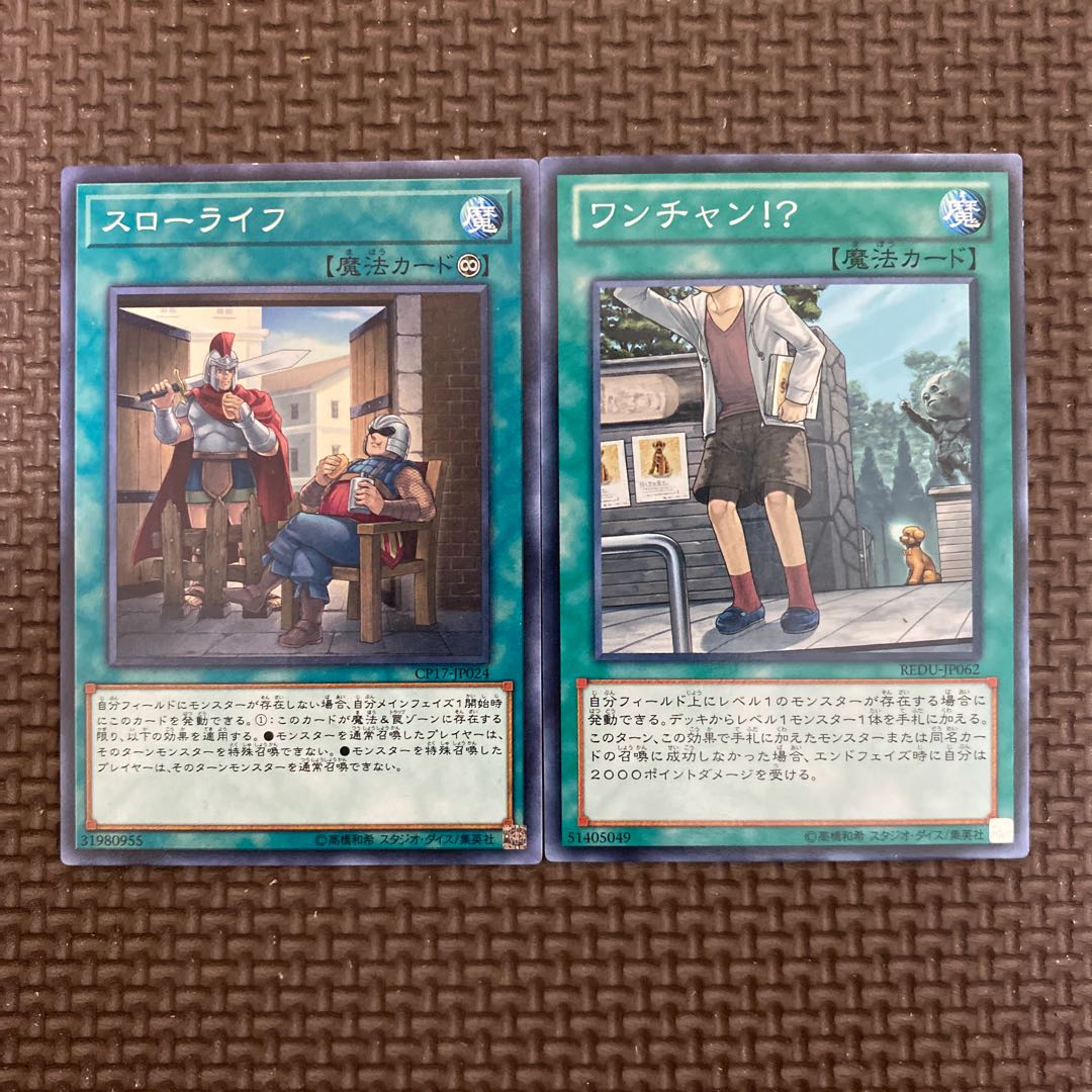 ワンチャン!?  スローライフ