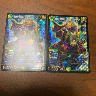 我怒の鎖 パンサーベア