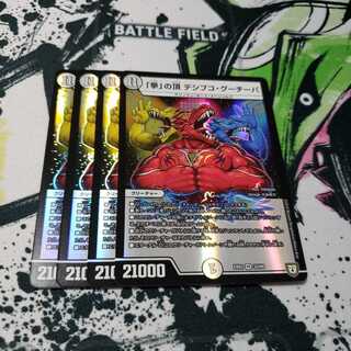 「拳」の頂 デシブコ・グーチーパ