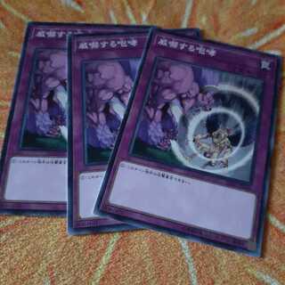 威嚇する咆哮　セット