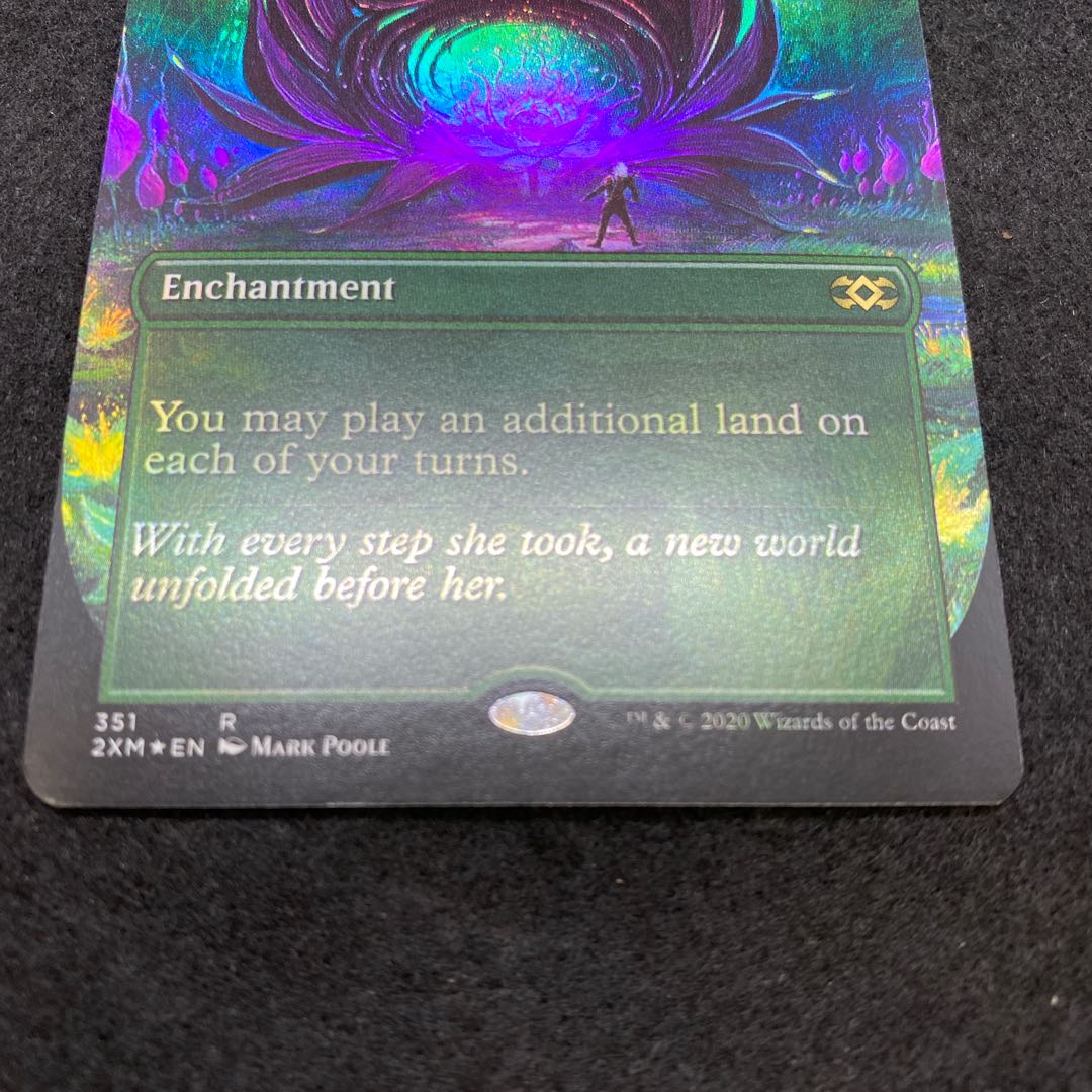 踏査 拡張foil  英語 1枚