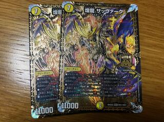 煌龍 サッヴァーク ２枚