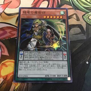 複数購入☆割有　賤竜の魔術師