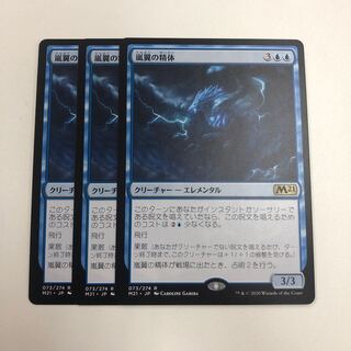 嵐翼の精体 3枚