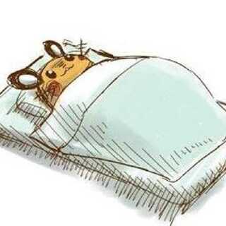 みょん。さま専用