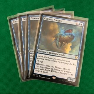 天上の餌あさり 英語版 4枚